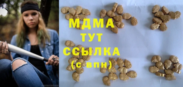 ГАЛЛЮЦИНОГЕННЫЕ ГРИБЫ Михайлов