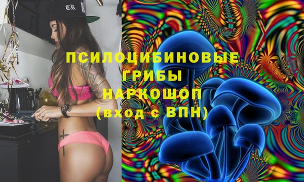 apvp Липки