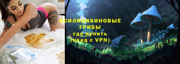 apvp Липки