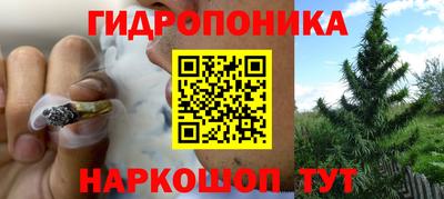прущая мука Дубна