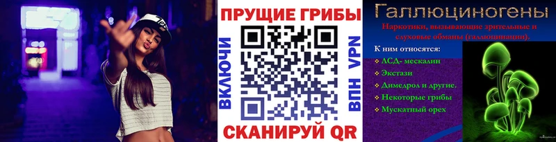 где найти   Тамбов  ОМГ ОМГ ССЫЛКА  Псилоцибиновые грибы Magic Shrooms 