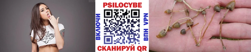 Псилоцибиновые грибы GOLDEN TEACHER Тамбов
