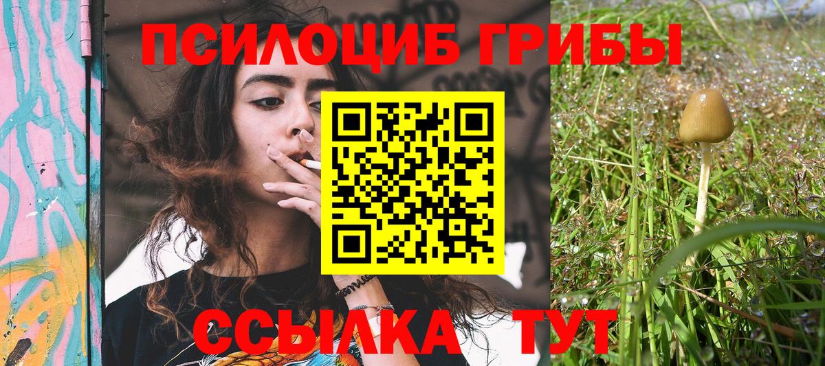 Тамбов  Галлюциногенные грибы MAGIC MUSHROOMS  Псилоцибиновые грибы Magic Shrooms  Вход с VPN 