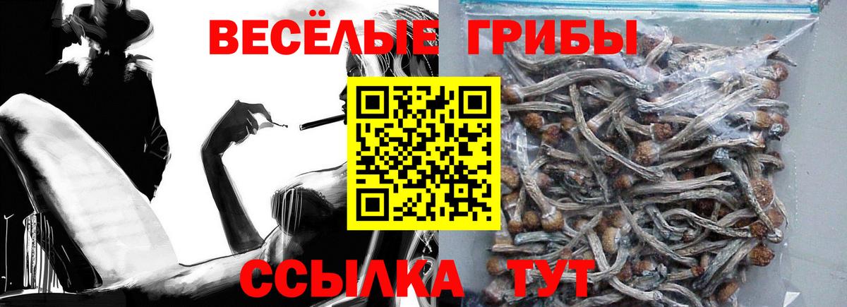Тамбов  МАРИХУАНА  Кодеин  МЕФ кристаллы  Вход с VPN  COCAIN  Каннабис  ГАШ  Продажа наркотиков  ЭКСТАЗИ 