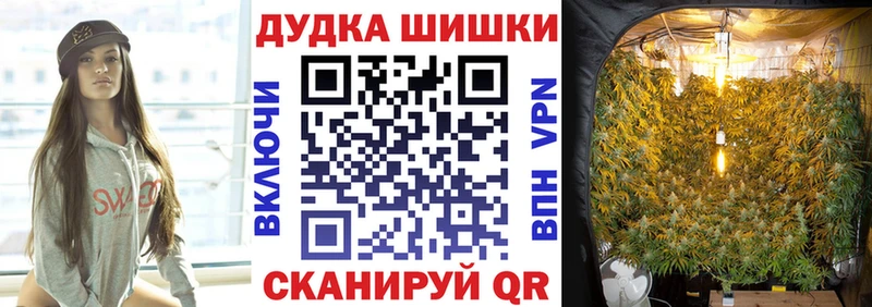 Канабис ГИДРОПОН  Тамбов 