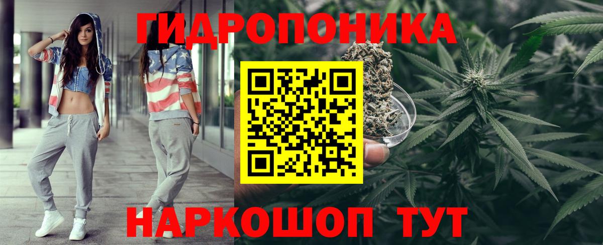 A PVP Тамбов